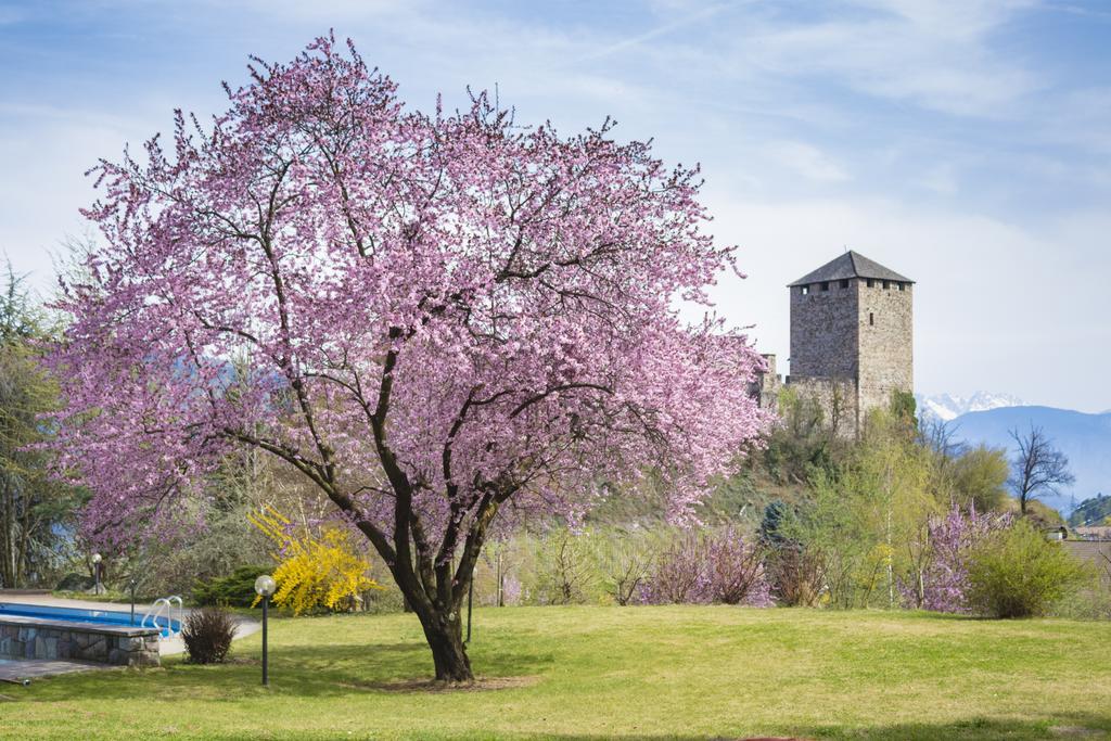 Der Waldhof Vollan Exterior foto